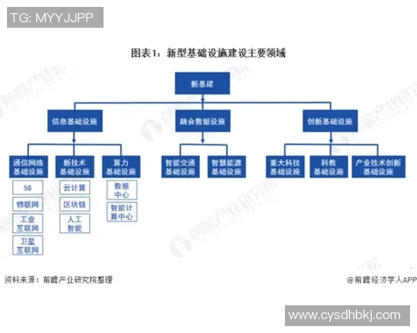 广州篮球队的控制策略与战术分析：深度解读球队发展现状与未来方向