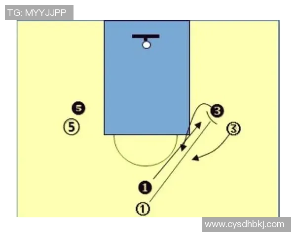 西安篮球队战术揭秘：从训练到比赛的全景分析与策略探讨